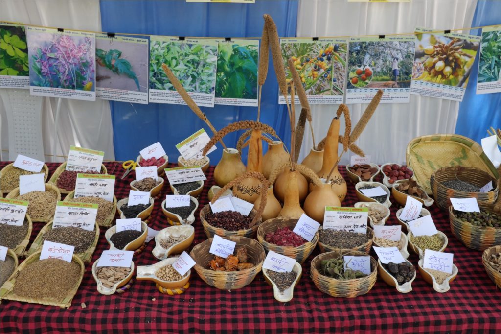 displayed a rich diversity of traditional crops