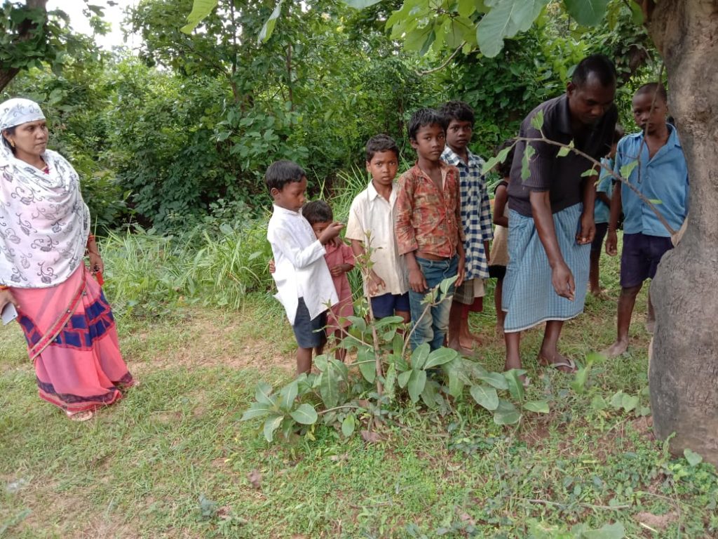 Awareness Program on Uncultivated Food with school and Angan Wadi ...