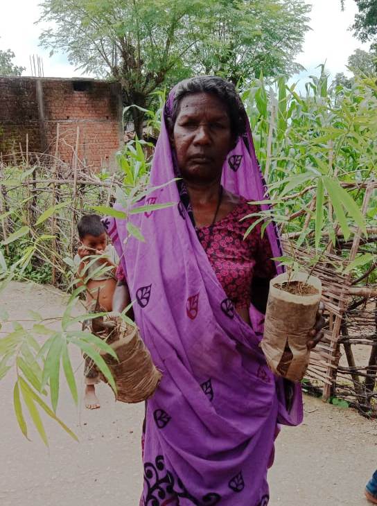 Planting of uncultivated food and other saplings in Birhor villages of ...